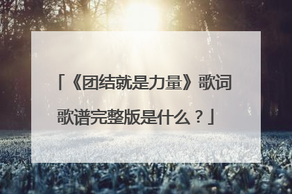 《团结就是力量》歌词歌谱完整版是什么？