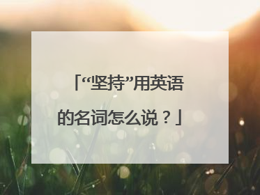 “坚持”用英语的名词怎么说？