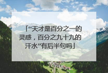 “天才是百分之一的灵感，百分之九十九的汗水”有后半句吗