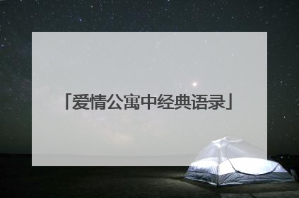 爱情公寓中经典语录