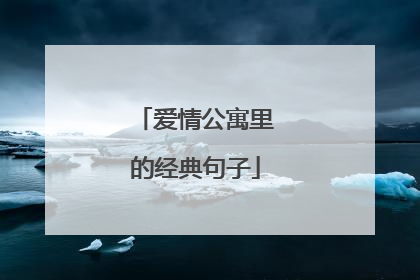 爱情公寓里的经典句子