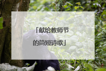 献给教师节的简短诗歌