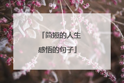 简短的人生感悟的句子