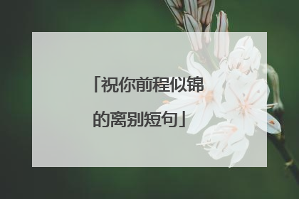 祝你前程似锦的离别短句