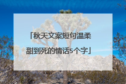 秋天文案短句温柔 甜到死的情话5个字