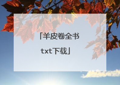 羊皮卷全书txt下载