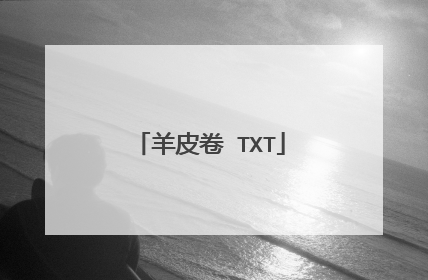 羊皮卷 TXT