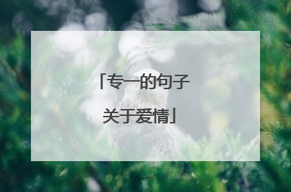 专一的句子 关于爱情