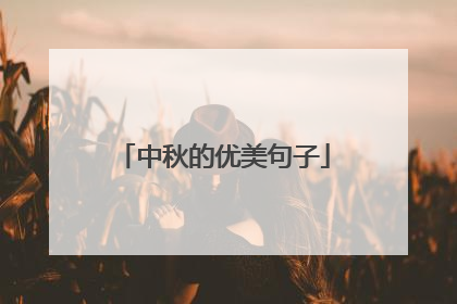 中秋的优美句子