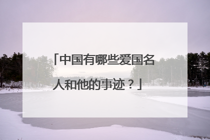 中国有哪些爱国名人和他的事迹？