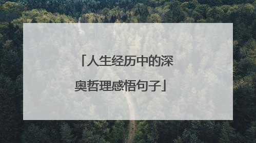 人生经历中的深奥哲理感悟句子