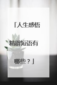 人生感悟精辟短语有哪些？