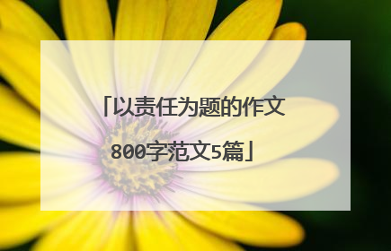 以责任为题的作文800字范文5篇