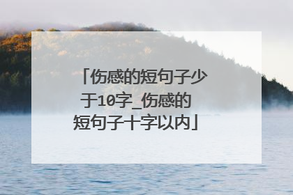 伤感的短句子少于10字_伤感的短句子十字以内