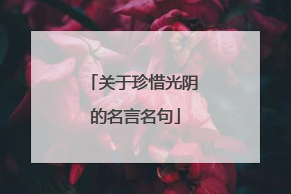 关于珍惜光阴的名言名句