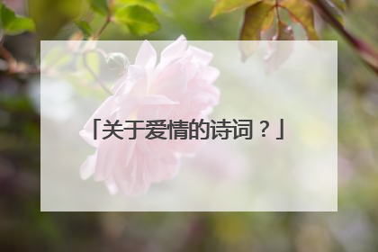 关于爱情的诗词？