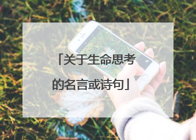 关于生命思考的名言或诗句