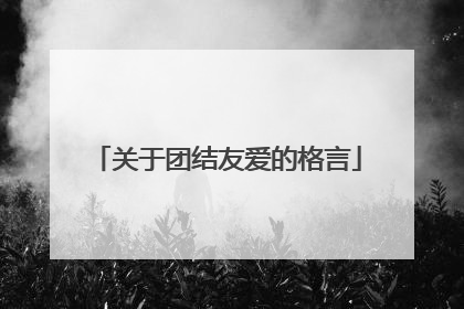 关于团结友爱的格言