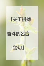 关于拼搏奋斗的名言警句