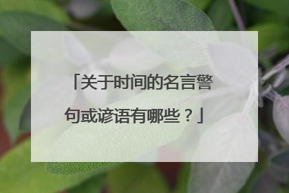 关于时间的名言警句或谚语有哪些？