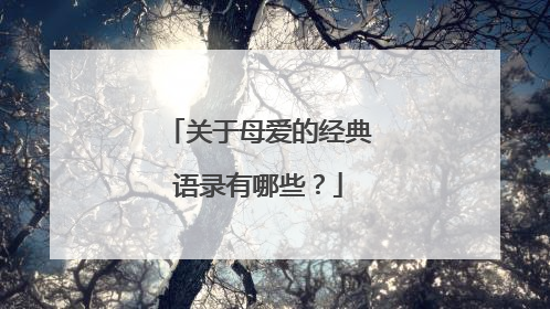 关于母爱的经典语录有哪些？