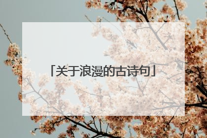 关于浪漫的古诗句