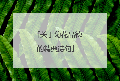 关于菊花品德的精典诗句