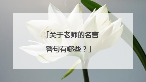 关于老师的名言警句有哪些？