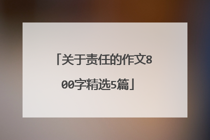 关于责任的作文800字精选5篇