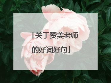 关于赞美老师的好词好句