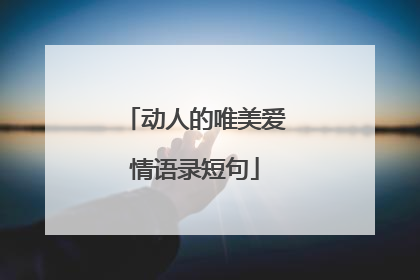 动人的唯美爱情语录短句