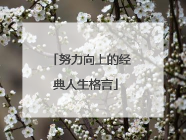 努力向上的经典人生格言