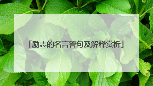 励志的名言警句及解释赏析