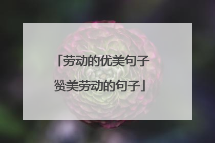 劳动的优美句子 赞美劳动的句子