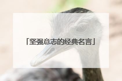 坚强意志的经典名言