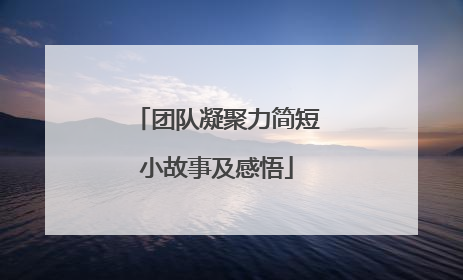 团队凝聚力简短小故事及感悟