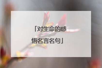 对生命的感悟名言名句