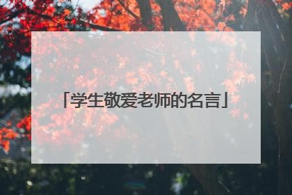 学生敬爱老师的名言