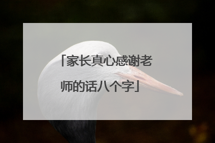 家长真心感谢老师的话八个字