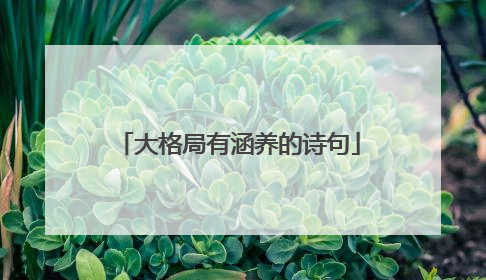 大格局有涵养的诗句