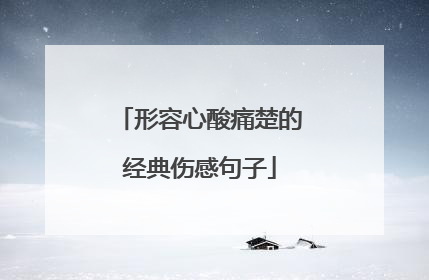 形容心酸痛楚的经典伤感句子