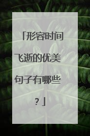 形容时间飞逝的优美句子有哪些？