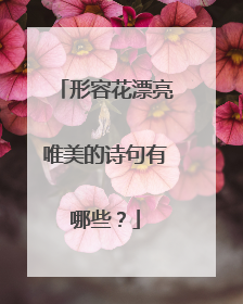 形容花漂亮唯美的诗句有哪些？