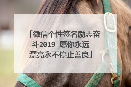 微信个性签名励志奋斗2019 愿你永远漂亮永不停止善良