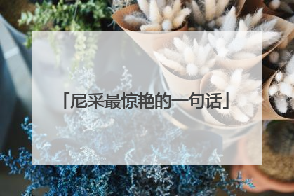 尼采最惊艳的一句话