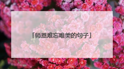 师恩难忘唯美的句子