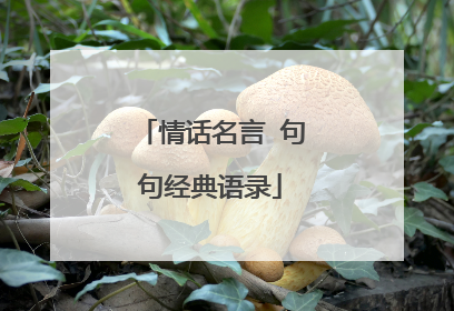 情话名言 句句经典语录