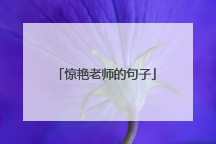 惊艳老师的句子