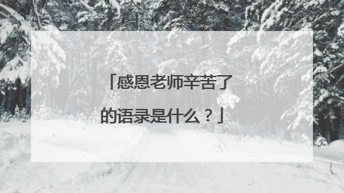 感恩老师辛苦了的语录是什么？