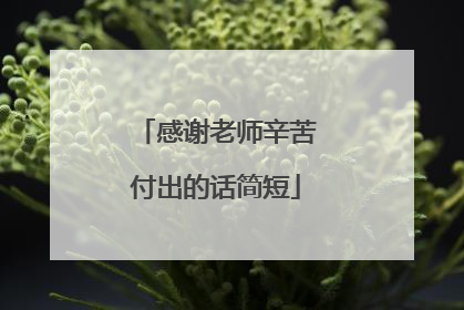 感谢老师辛苦付出的话简短